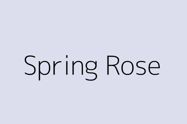 Spring Rose